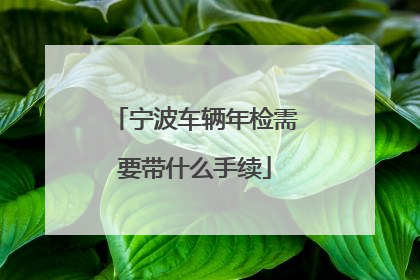 宁波车辆年检需要带什么手续