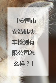 安国市安浩机动车检测有限公司怎么样？