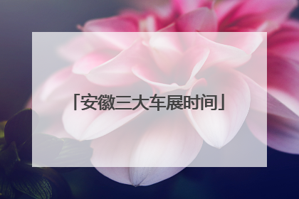 安徽三大车展时间
