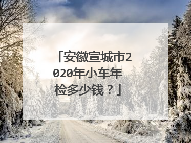 安徽宣城市2020年小车年检多少钱？