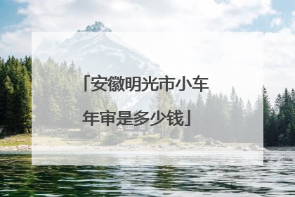 安徽明光市小车年审是多少钱