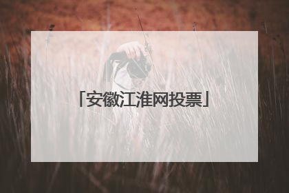 安徽江淮网投票