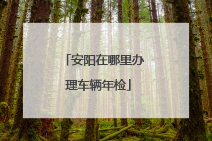 安阳在哪里办理车辆年检