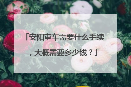 安阳审车需要什么手续，大概需要多少钱？