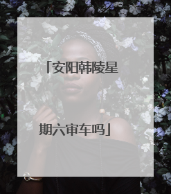 安阳韩陵星期六审车吗