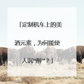 定制机车上的美酒元素，为何能使人沉“醉”？