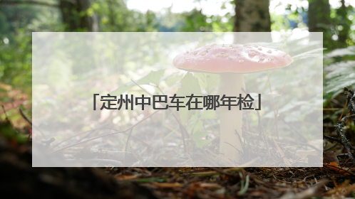 定州中巴车在哪年检