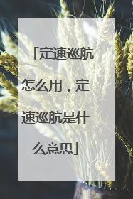 定速巡航怎么用，定速巡航是什么意思