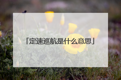 定速巡航是什么意思