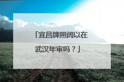 宜昌牌照阔以在武汉年审吗？