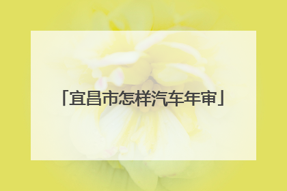 宜昌市怎样汽车年审