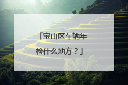 宝山区车辆年检什么地方？