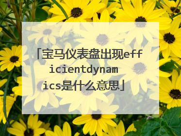 宝马仪表盘出现efficientdynamics是什么意思