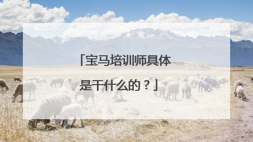 宝马培训师具体是干什么的？