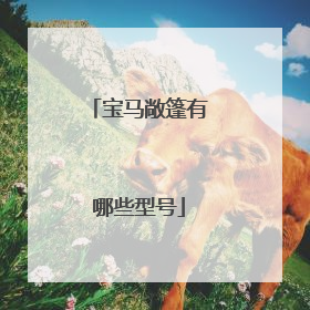 宝马敞篷有哪些型号