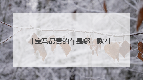 宝马最贵的车是哪一款?