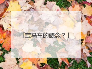 宝马车的感念？