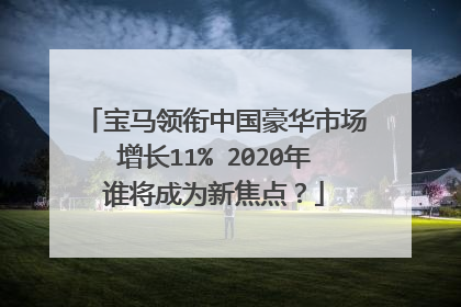 宝马领衔中国豪华市场增长11% 2020年谁将成为新焦点？