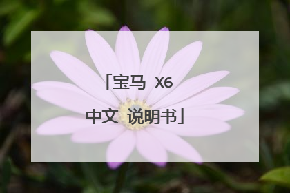 宝马 X6 中文 说明书