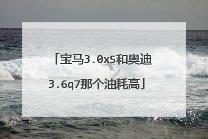 宝马3.0x5和奥迪3.6q7那个油耗高
