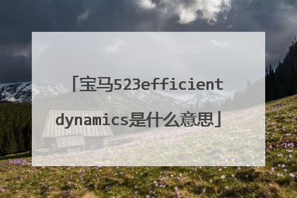宝马523efficientdynamics是什么意思