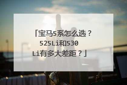 宝马5系怎么选？525Li和530Li有多大差距？
