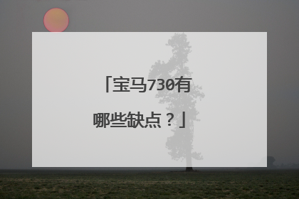 宝马730有哪些缺点？