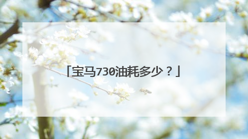 宝马730油耗多少？