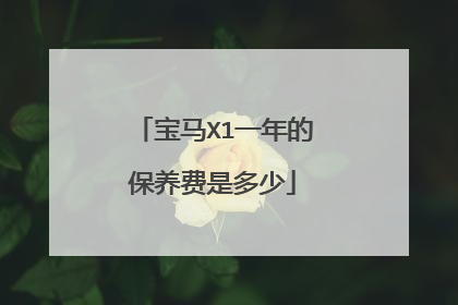 宝马X1一年的保养费是多少