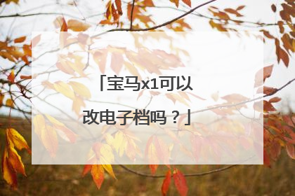 宝马x1可以改电子档吗？