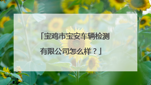 宝鸡市宝安车辆检测有限公司怎么样？