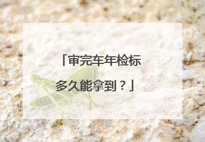 审完车年检标多久能拿到？