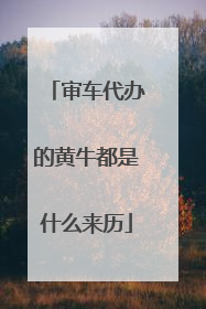审车代办的黄牛都是什么来历