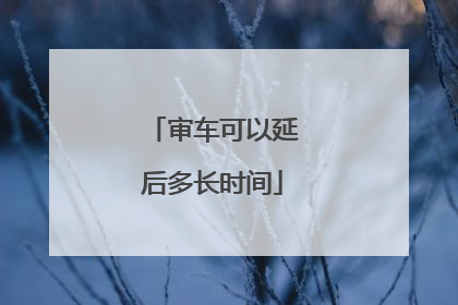 审车可以延后多长时间