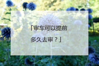 审车可以提前多久去审？