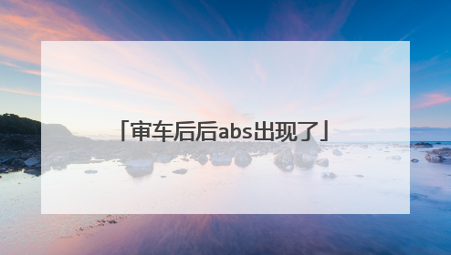 审车后后abs出现了