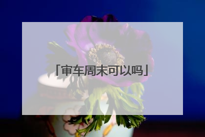 审车周末可以吗
