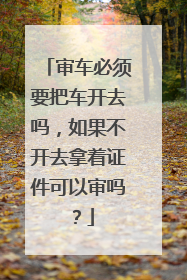 审车必须要把车开去吗，如果不开去拿着证件可以审吗？