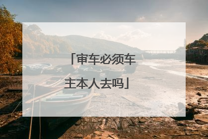 审车必须车主本人去吗