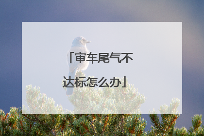 审车尾气不达标怎么办