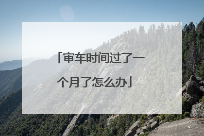 审车时间过了一个月了怎么办
