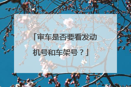 审车是否要看发动机号和车架号？