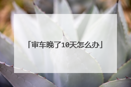 审车晚了10天怎么办