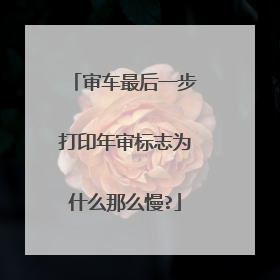 审车最后一步打印年审标志为什么那么慢?
