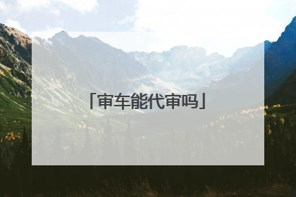 审车能代审吗