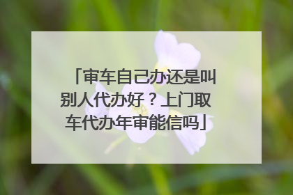 审车自己办还是叫别人代办好？上门取车代办年审能信吗