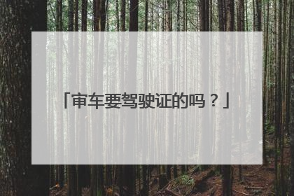 审车要驾驶证的吗？