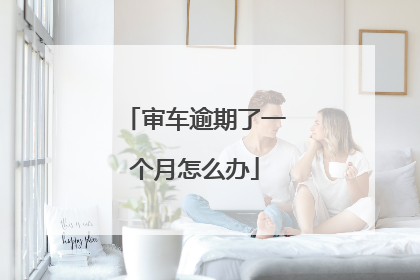 审车逾期了一个月怎么办