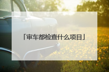 审车都检查什么项目