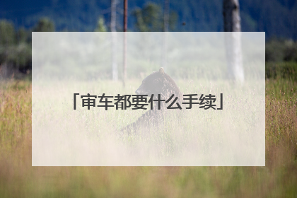 审车都要什么手续